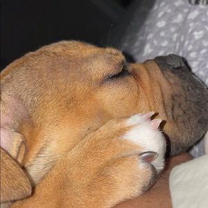 Meet your Posher, Lori